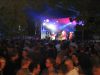 bild 11991