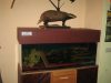 bild 27720