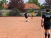 bild 29081