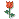 rose.gif