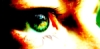 User Foto