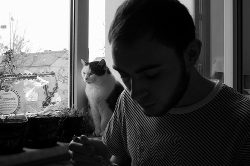 angehngtes Bild