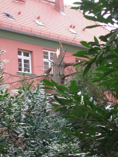 angehngtes Bild