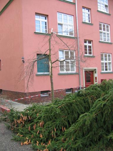 angehngtes Bild
