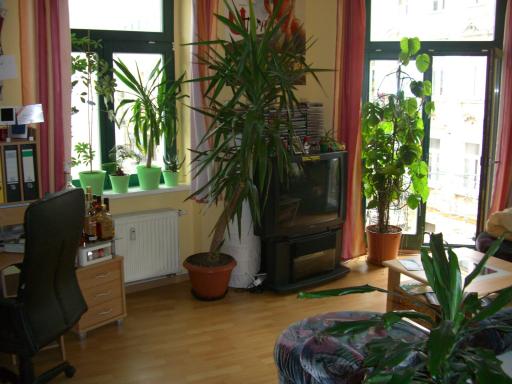 angehngtes Bild
