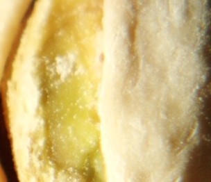 angehngtes Bild