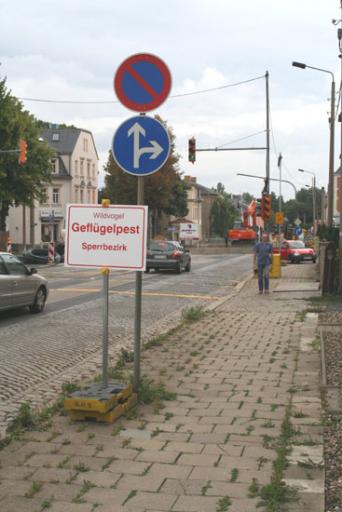 angehngtes Bild