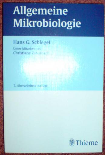 angehngtes Bild
