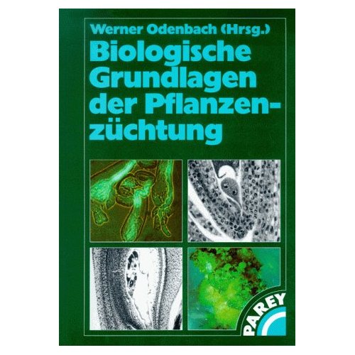 angehngtes Bild