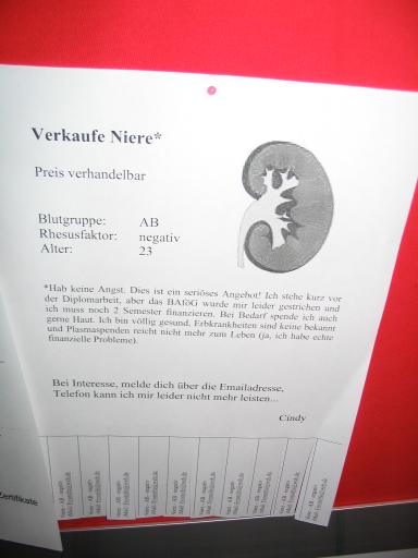 angehängtes Bild