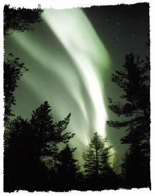angehngtes Bild