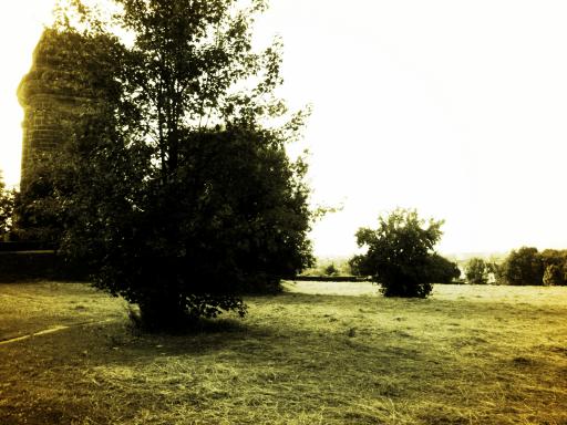 angehngtes Bild