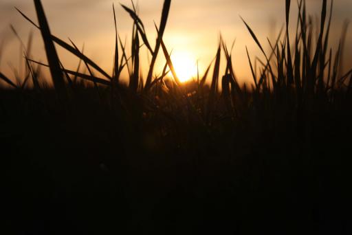 angehngtes Bild