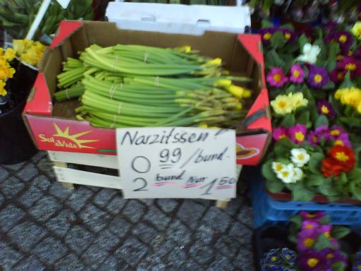 angehngtes Bild