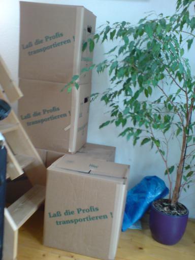 angehngtes Bild