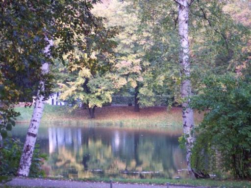 angehngtes Bild