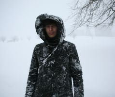 angehängtes Bild