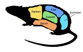 angehngtes Bild