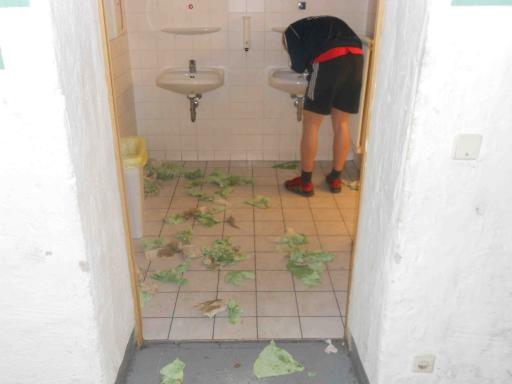 angehngtes Bild