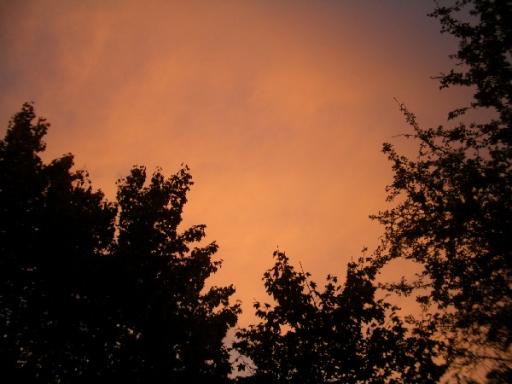 angehngtes Bild