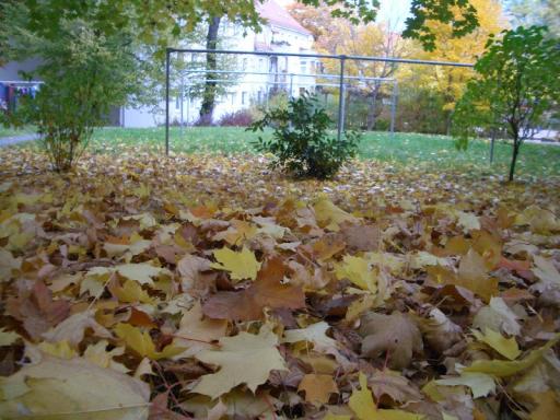angehngtes Bild