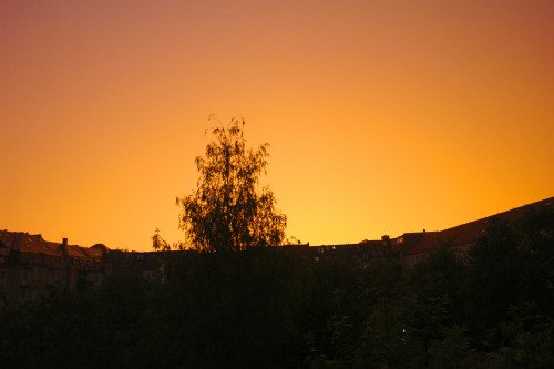 angehngtes Bild