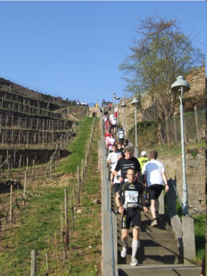 angehängtes Bild