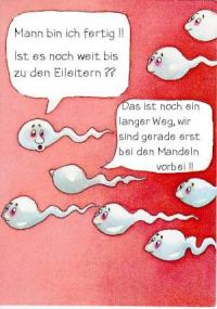 angehngtes Bild