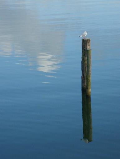 angehngtes Bild