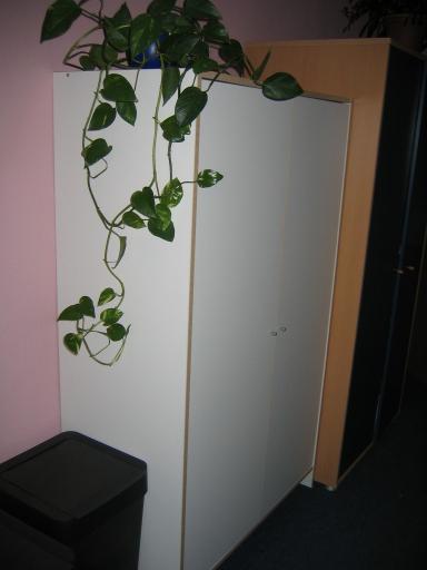 angehngtes Bild