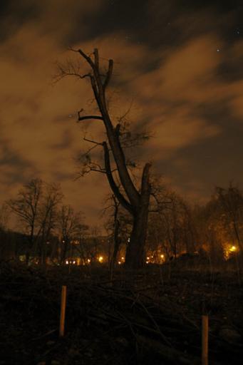 angehngtes Bild