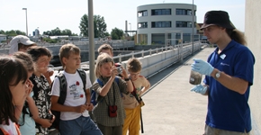 angehngtes Bild