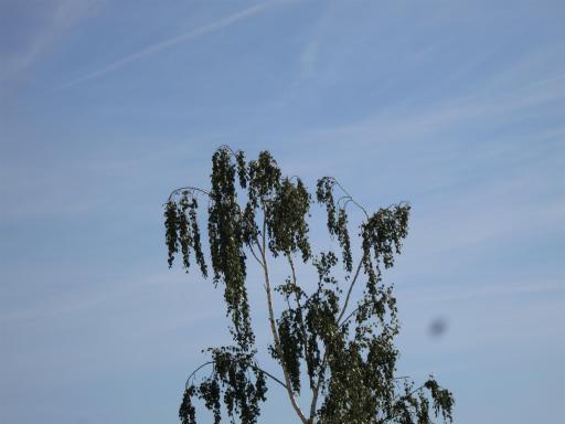 angehngtes Bild