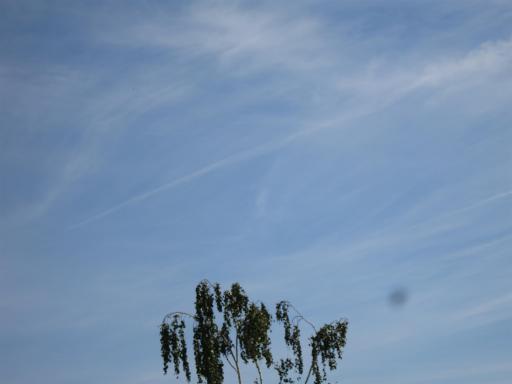angehngtes Bild