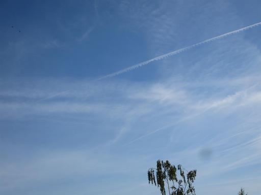 angehngtes Bild