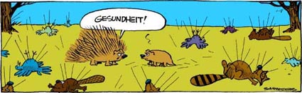 angehngtes Bild