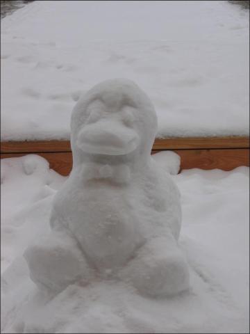 angehngtes Bild
