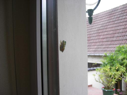 angehngtes Bild