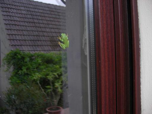 angehngtes Bild