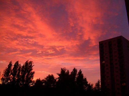 angehngtes Bild