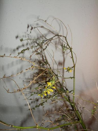angehängtes Bild