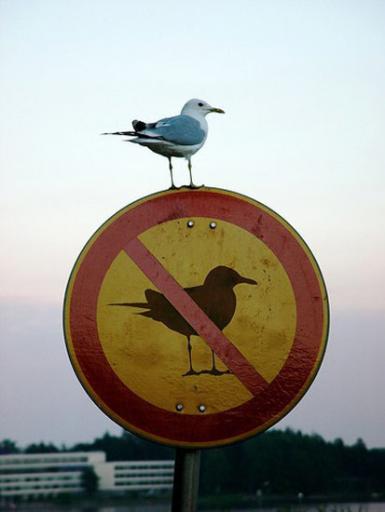 angehngtes Bild